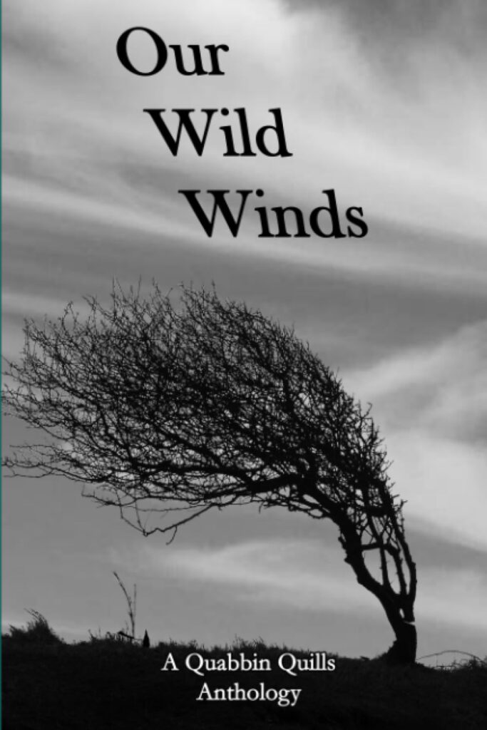 Cover for Our Wild Winds